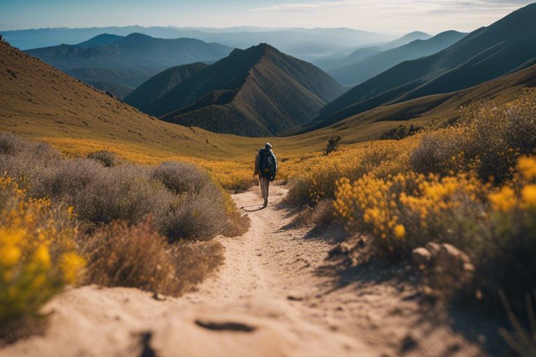 Best Hiking Trails in California – Discovering Nature's Beauty